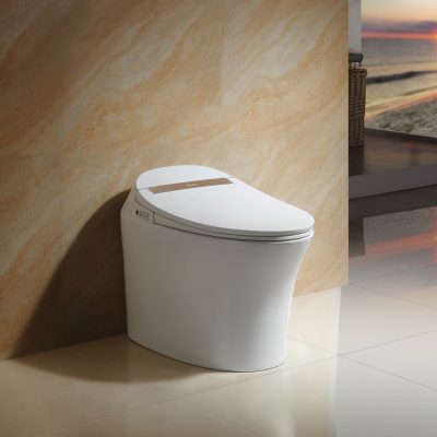 iBath Ombú Smart Toilet XP103